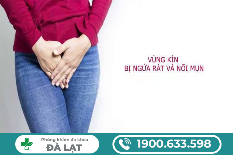 NHỮNG ĐIỀU ANH EM CẦN HIỂU RÕ VỀ NẤM DƯƠNG VẬT ĐỂ ĐIỀU TRỊ
